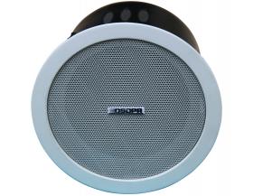 JBL BOSE ʿչȹ֪㲥ϵͳ