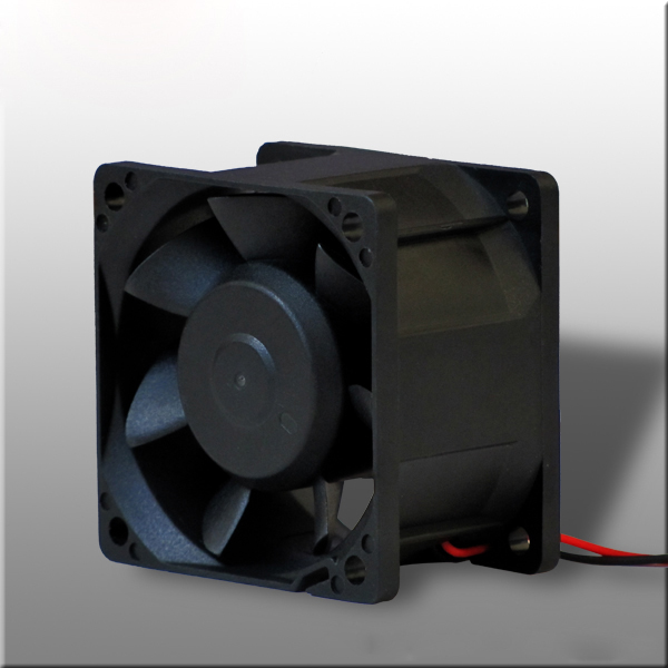 6038ֱ