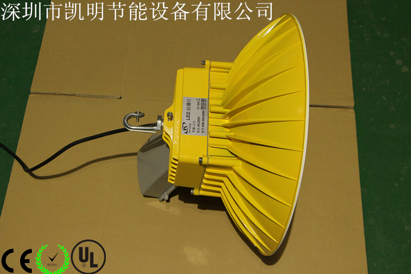 LED 100W