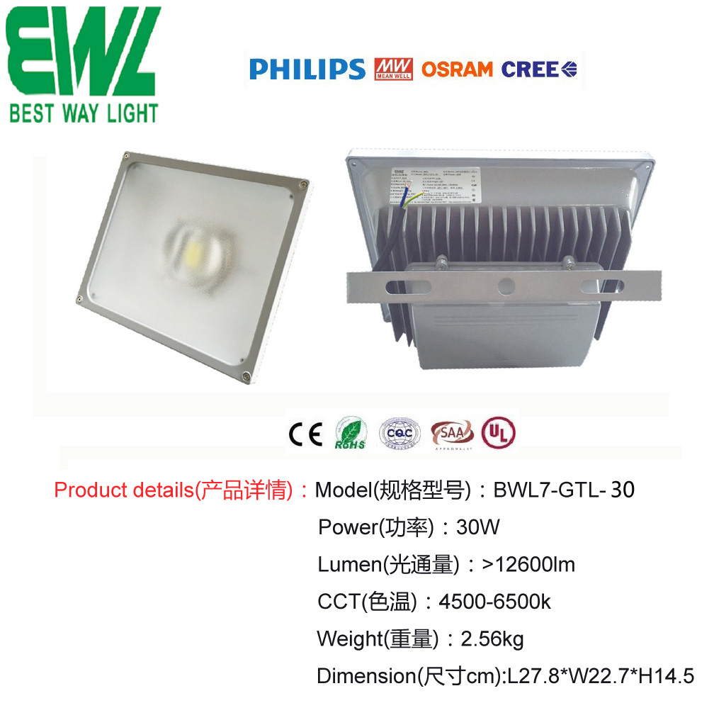 /BWL7-GTL-30W LED30W