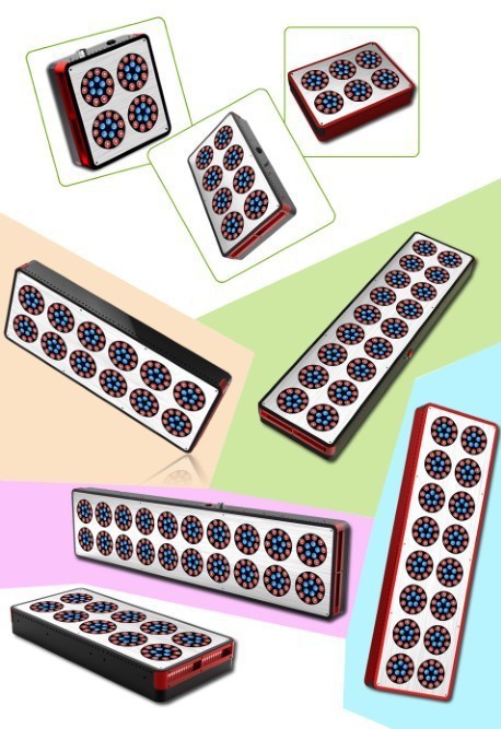 LED ֲ/ֲ /ֲרò