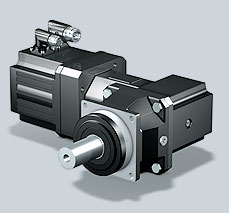 µͼϮSPIRAX SARCO	FIG34 DN20 100