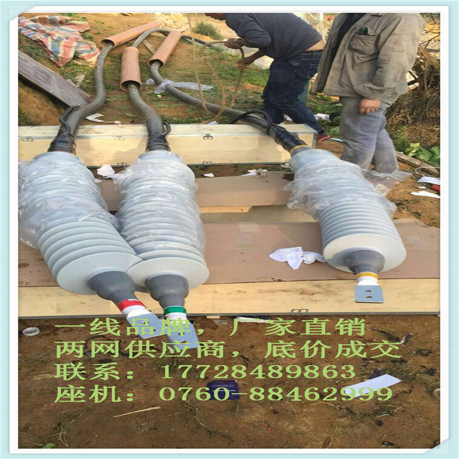 ۸ѹԵͷ
