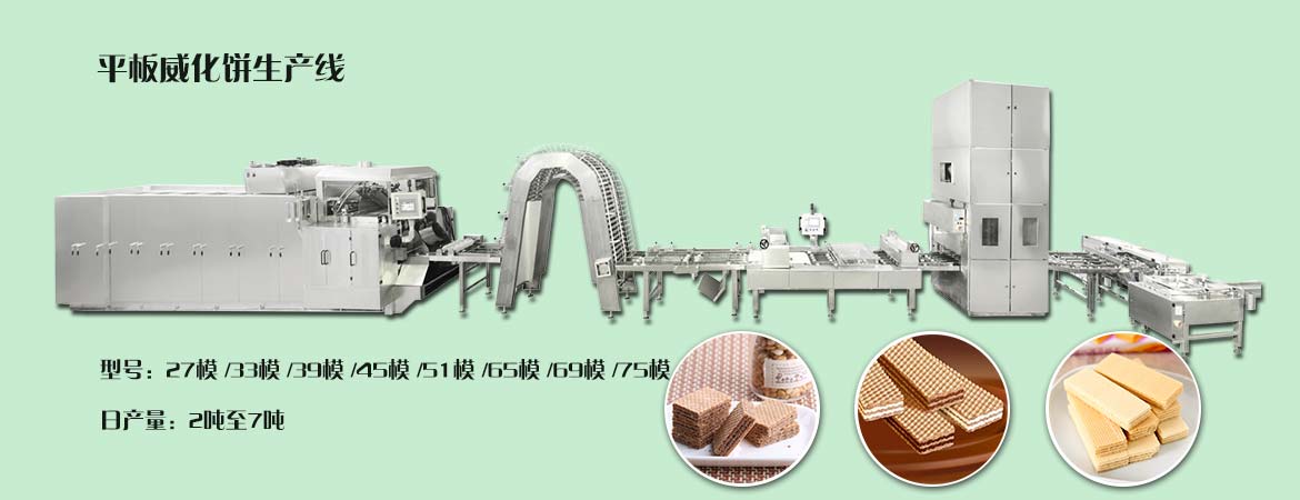 ȫԶ Wafer Biscuit Processing Line