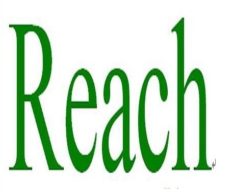 ·REACH֤ʵݰ·REACH֤