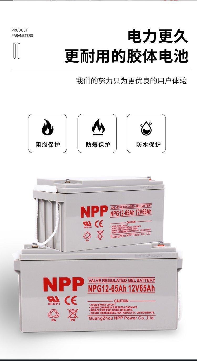 NPG12-150/12v150AhƷ