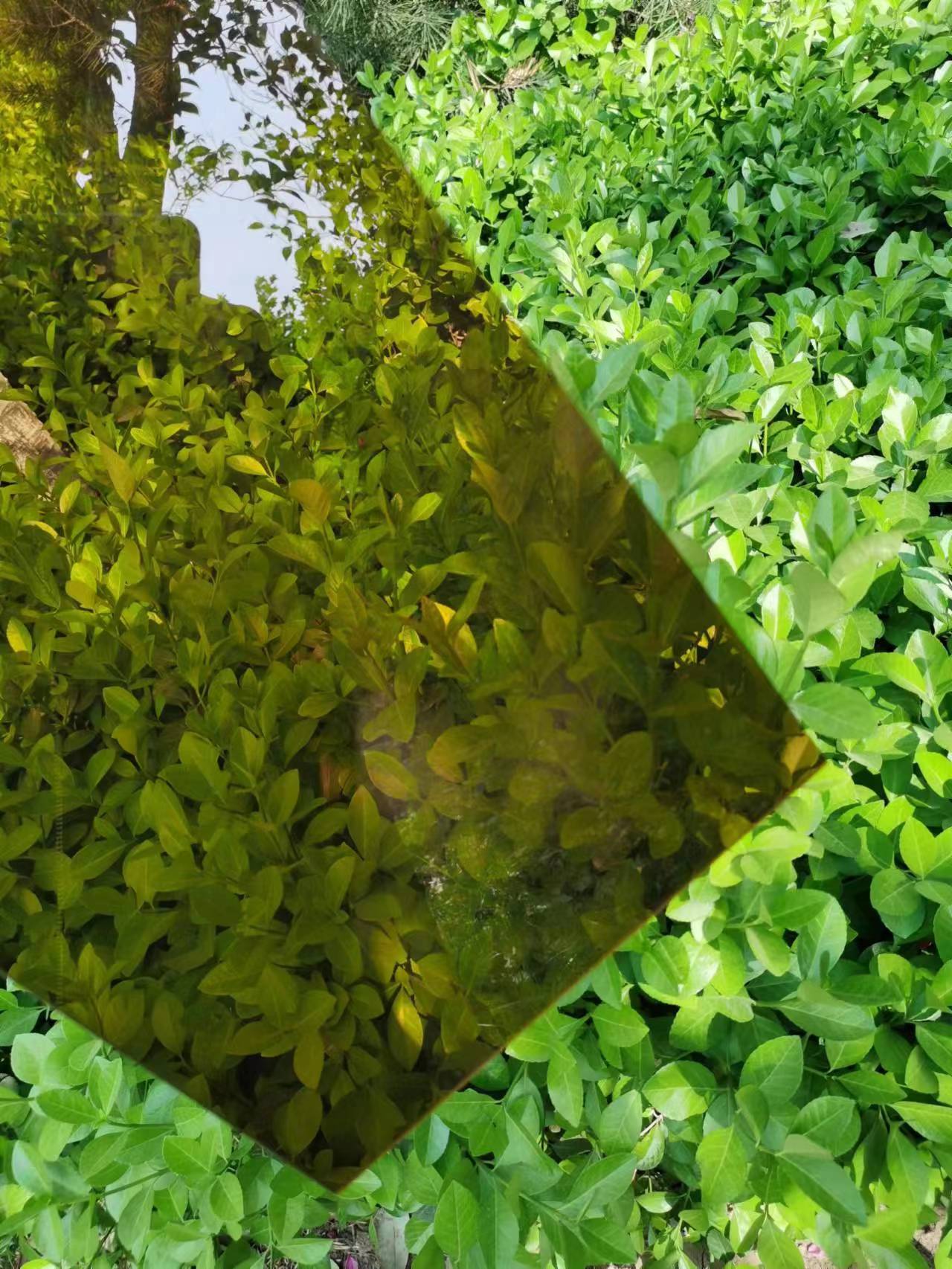 ɽ峧ҹȫȫɹϵͳ