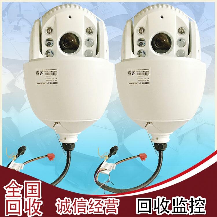 豸  ͷ