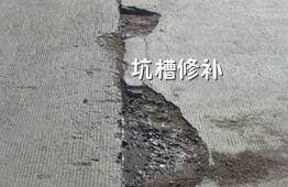 ·޲϶Ǯһ2023