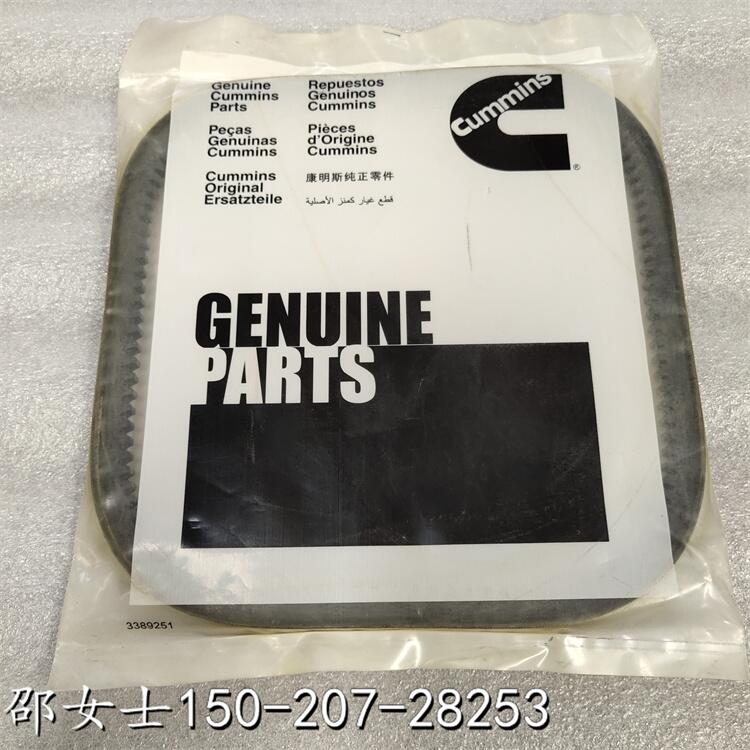 ϴ0511-0261CUMMINSBELT-DRIVE4903472