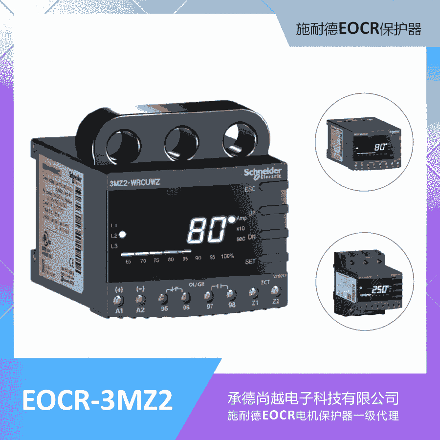 ʩ͵EOCR-3MZ2©籣