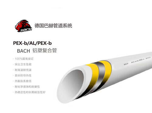 ¹BACHͺPE-XܸϹ,ܹܣ¹ůܣԭװܹ