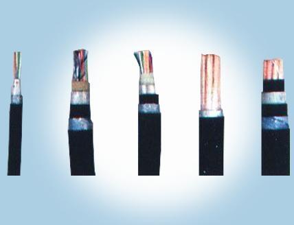 wd-myjv32˾3*1.0һ2025Ѹ(/Ѷ