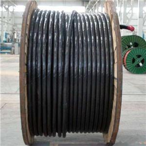 WD-MYJV433*6һ2025Ѹ(/Ѷ