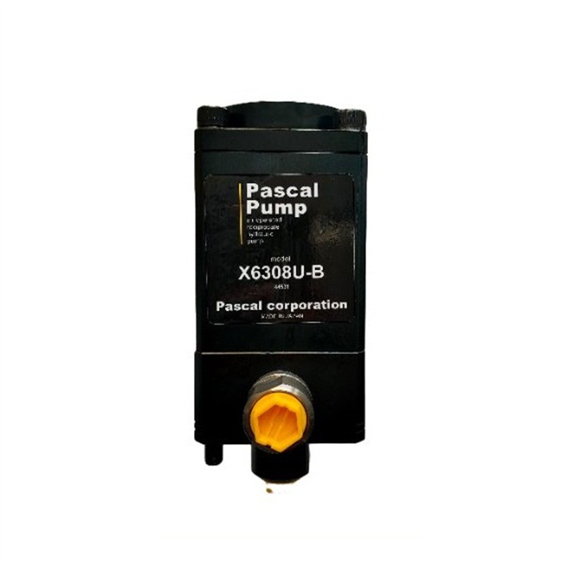 ۹ӦPASCALŷ