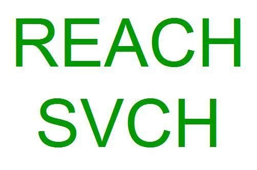 ѷREACHͼղ