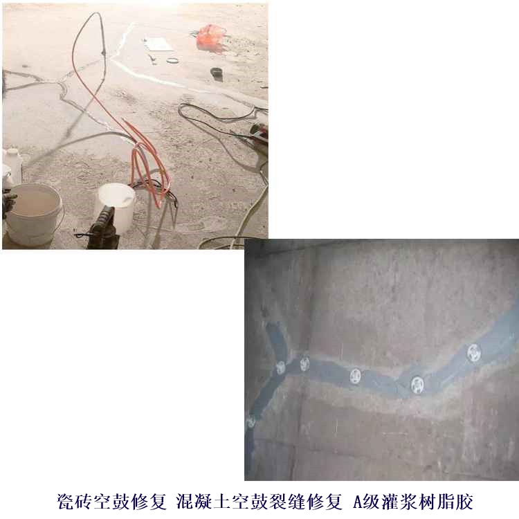 㶫ɽע_㶫ɽչѷ޲