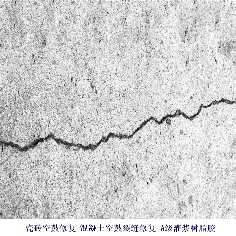 㶫ɽע_㶫ɽչѷ޲