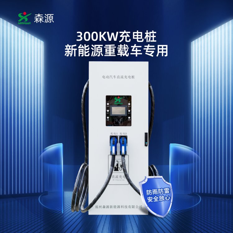 ɭԴԴؿ300KWһ˫綯ֱ׮SZCD-Z300-M