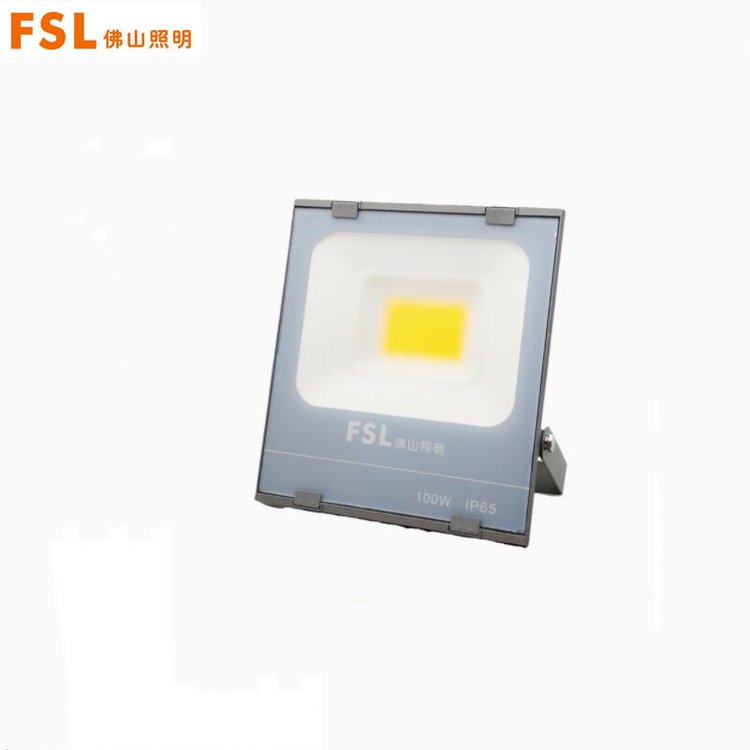 FSLҫLEDͶ50W100W200W6500K׹