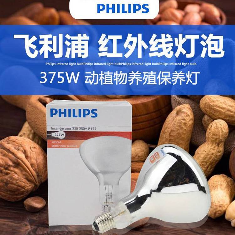 PHILIPS375W߼ȱµֳȡůʳƷ濾