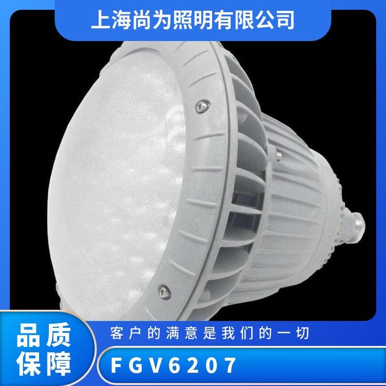 FGV6207-LED50LEDάܷˮư׹50W