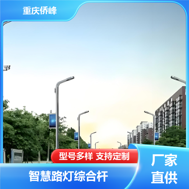 做智慧路灯厂家节能环保无线网监控支持配送一站式采购