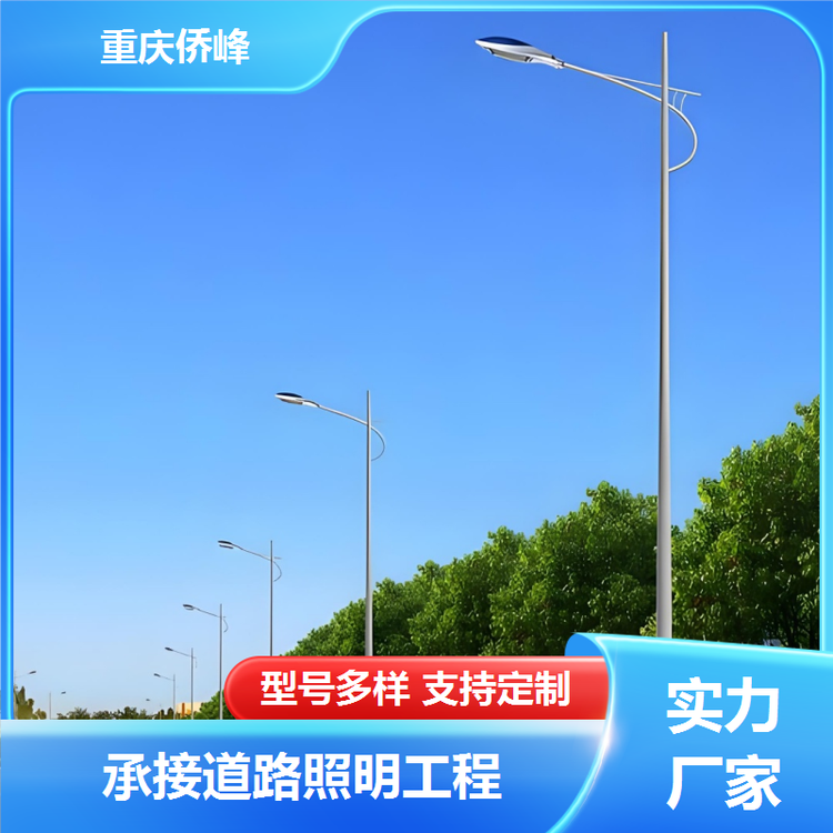 广场道路灯厂家款式多自动调节光亮市政量化工程按需定制
