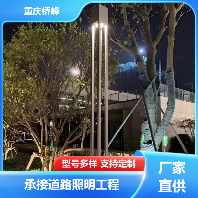 景观庭院灯厂家批发别墅小区适用承接工程订单高亮灯珠支持配送