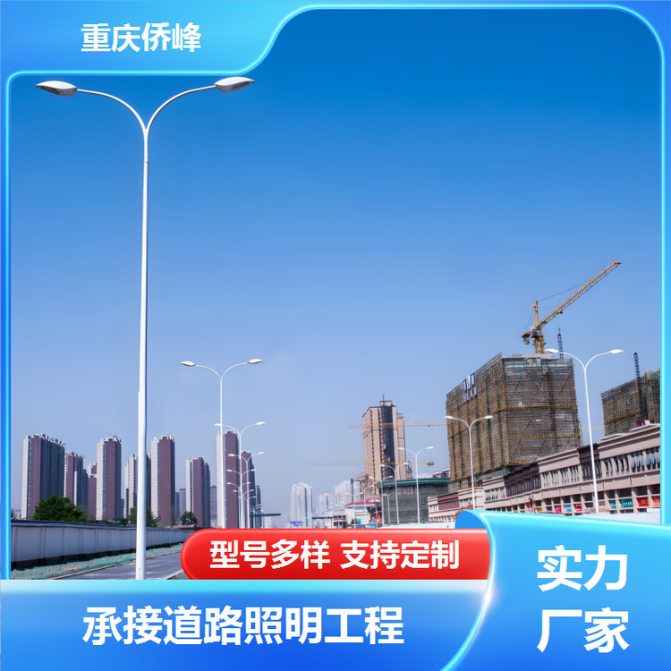 道路灯路灯别墅小区适用十字路口市政量化工程高度可定制