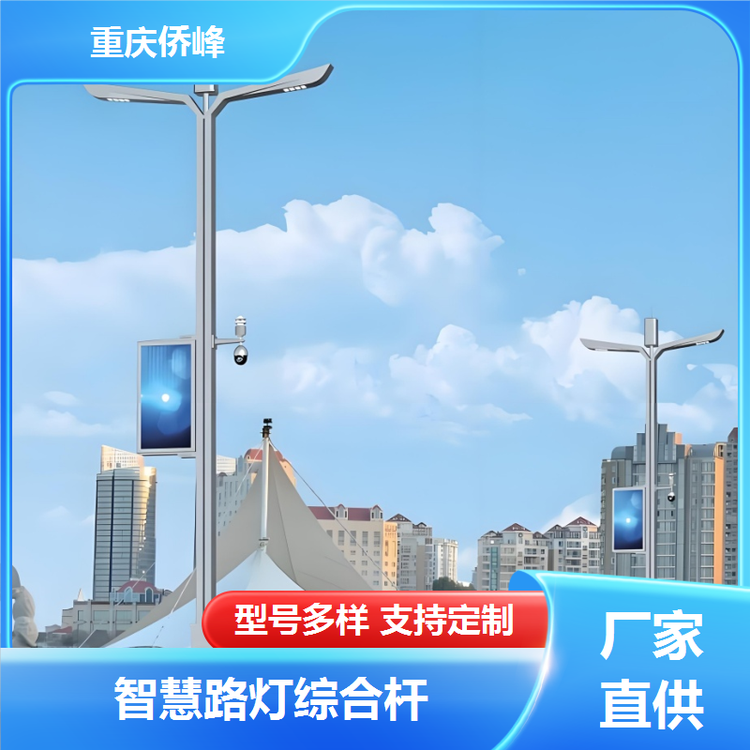 led智慧路灯厂家节能环保智能监控承接工程订单