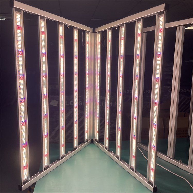 ledֲƹڼôҩֲ