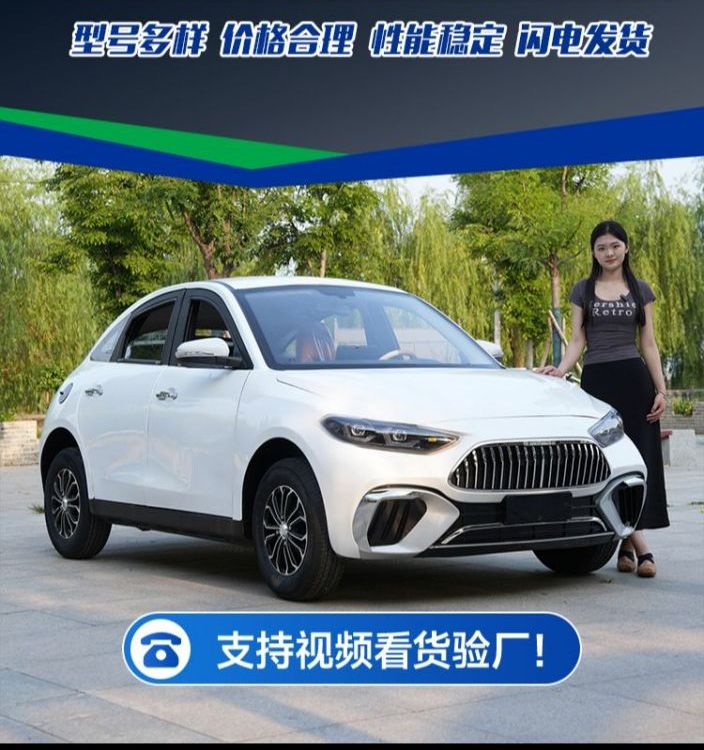 Դִݳ͵С綯ֳ