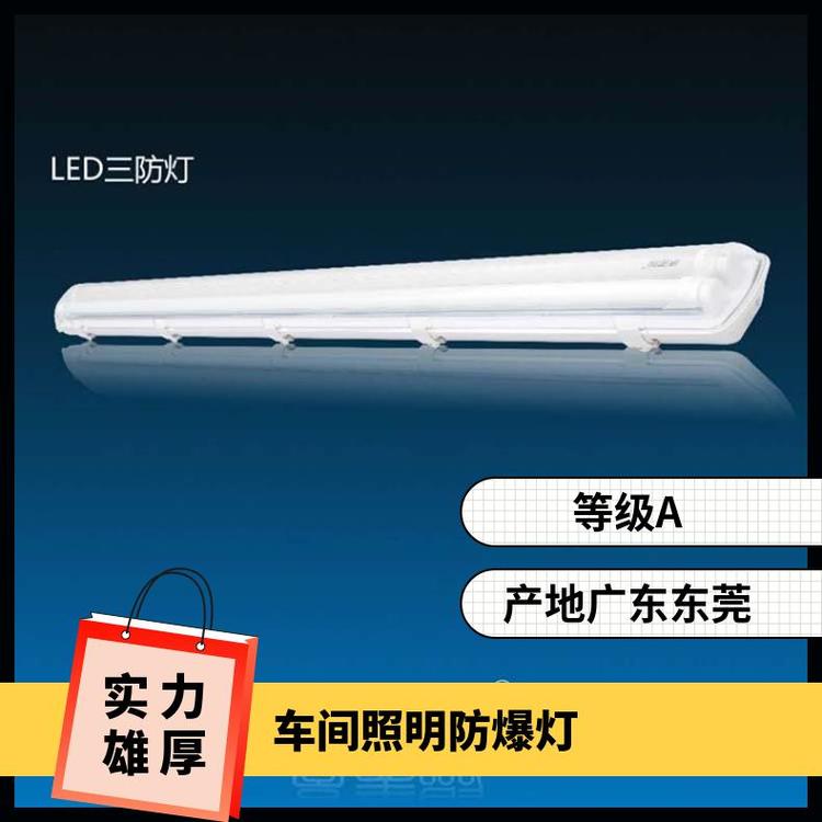 三防灯亮美聚车间照明防爆灯食品厂洁净灯专供照明灯具
